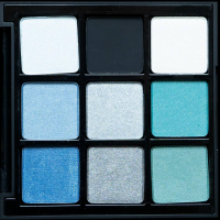 CHOGAN Palette mit 9 Lidschatten | Winter Queen 18g