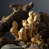 OLFAZETA for Chogan Duft 148 Divine Aura - Damenparfüm mit 30% Essenz - 70 ml