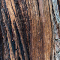 OLFAZETA for Chogan Duft 147 Dark Nectar - Herrenparfüm mit 30% Essenz - 70 ml