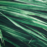 OLFAZETA for Chogan Duft 162 Eternal Love For Him - Herrenparfüm Nachfüllflakon